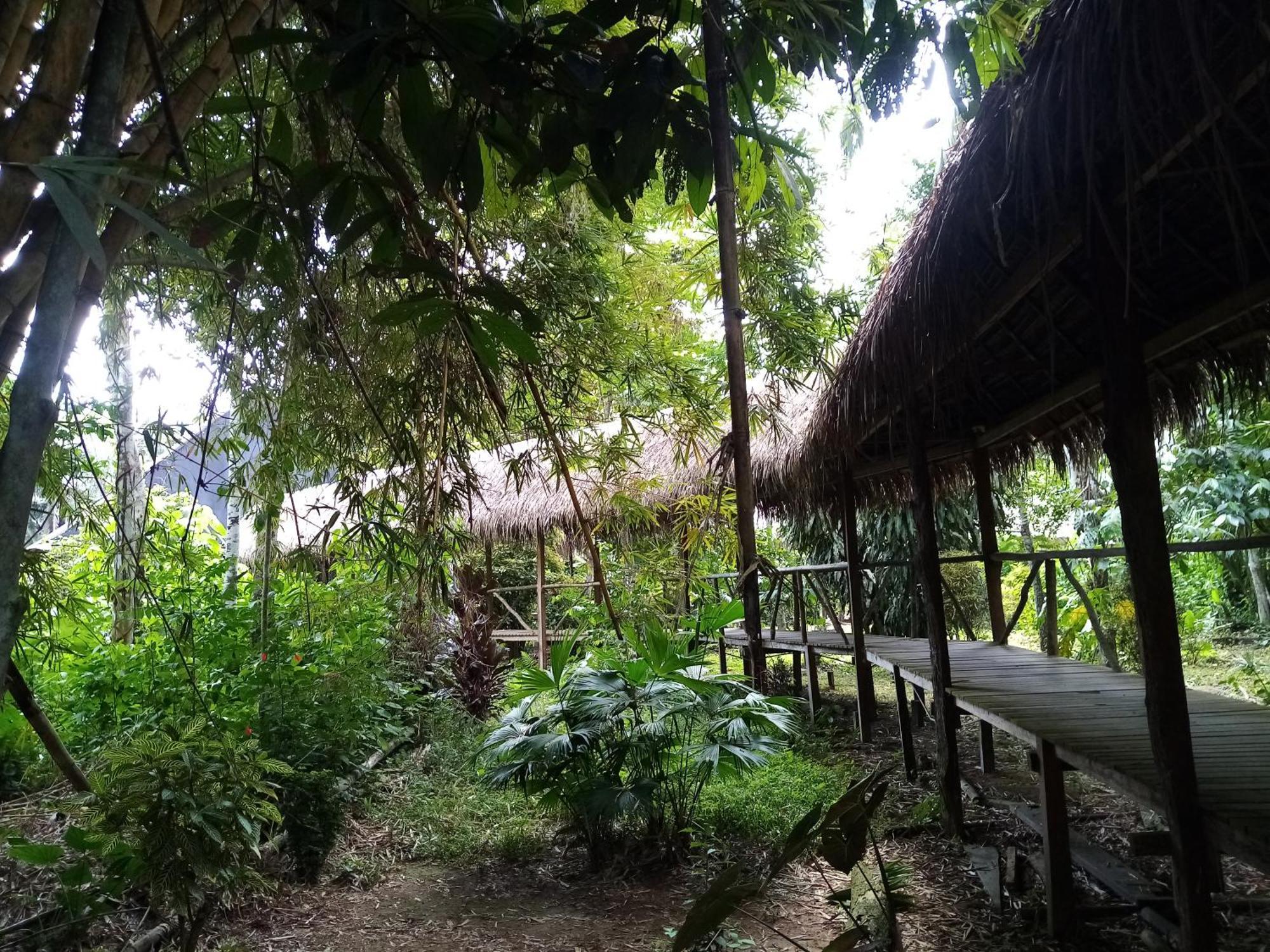 Inotawa Lodge Tambopata Exterior photo
